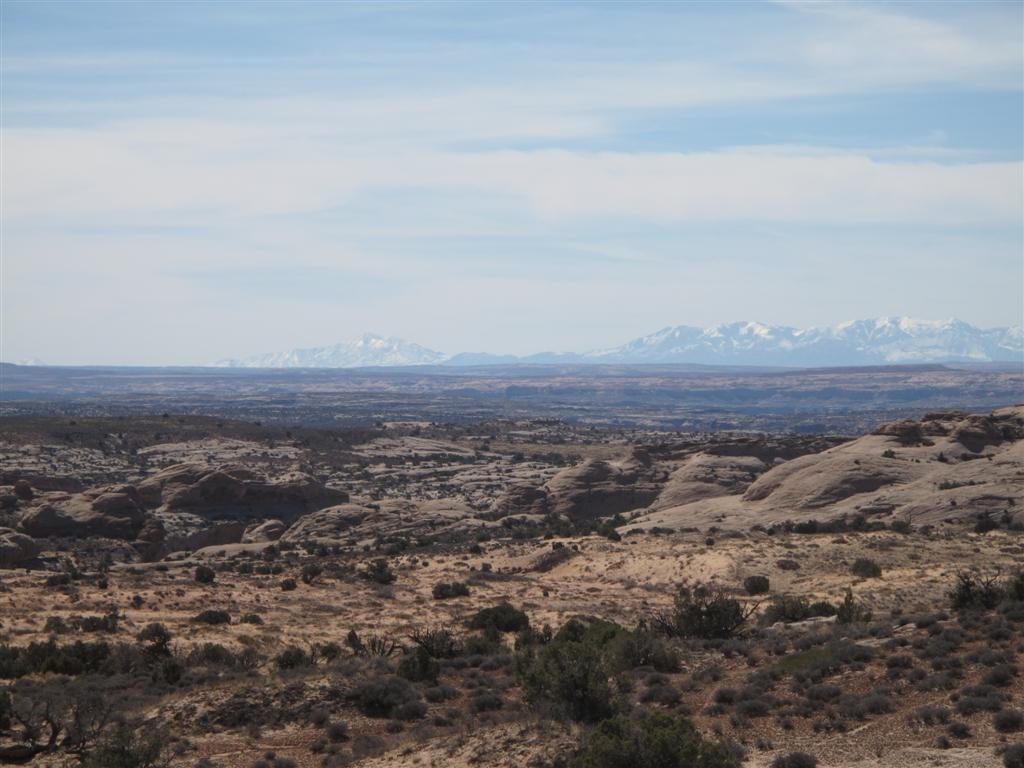 IMG_5601 (Large).JPG IMG_5601 (Large).JPG